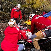 Daffodil Valley near Derby