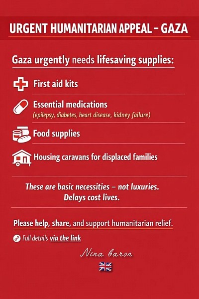 Gaza Relief Series No. 19, Nina Baron